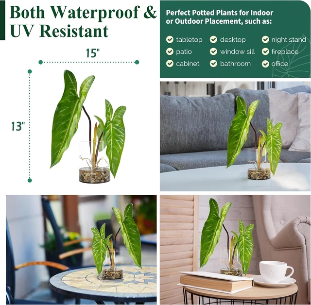 Alt view image 6 of 7 - Realistic Faux Plant in Clear Pot with Artificial Water, Narrow Arrowhead Leaves. Artificial Plants Indoor and Outdoor