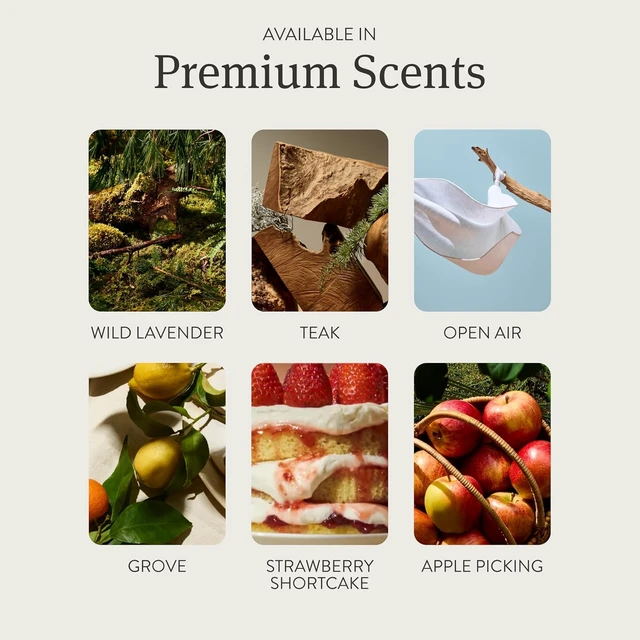 Alt view image 3 of 5 - Home Scent Diffuser Starter Kit in Open Air - Adjustable and Long Lasting Diffuser Aroma - Clean Ingredients, Pet Safe