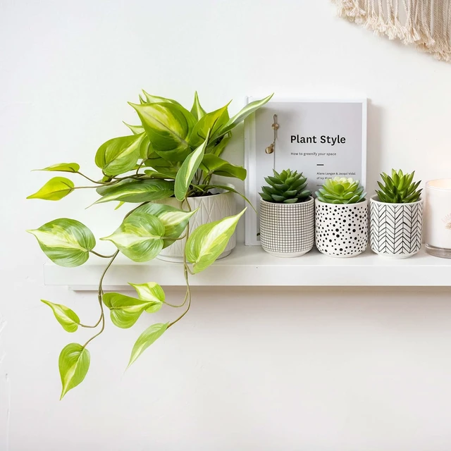 Alt view image 2 of 6 - Light Green Fake pothos Plant