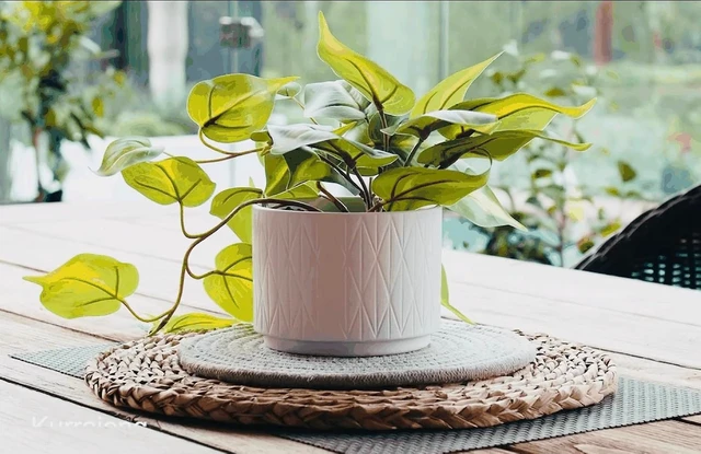 Alt view image 3 of 6 - Light Green Fake pothos Plant