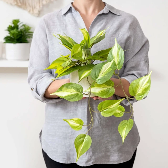Alt view image 4 of 6 - Light Green Fake pothos Plant