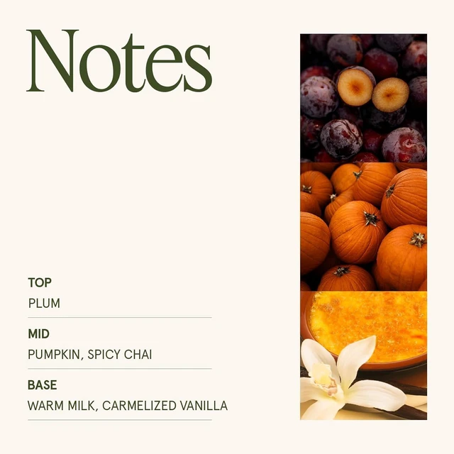 Alt view image 4 of 6 - Pumpkin Chai Scented Candles for Home, 19 oz Natural Soy Wax