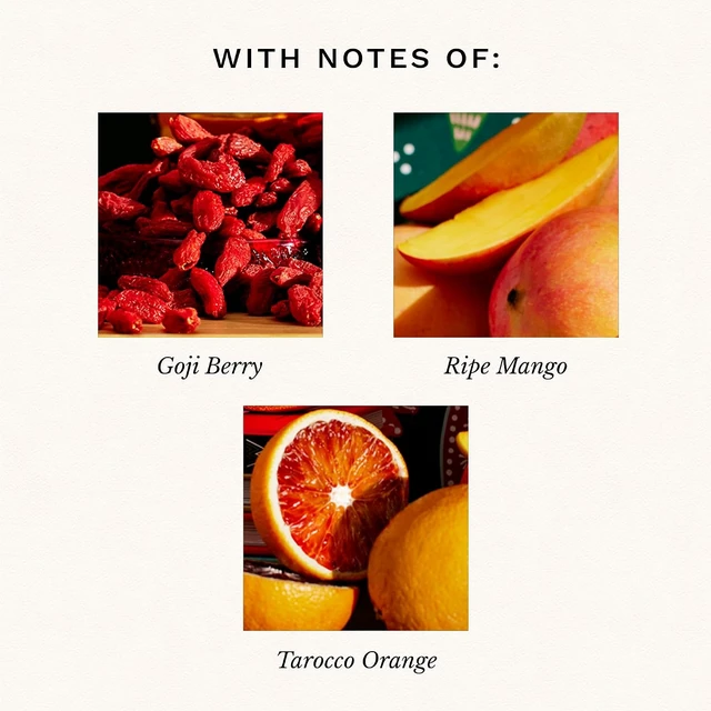 Alt view image 3 of 6 - Goji Tarocco Orange Large Scented Candle Jar 18 Oz, 100 Hr Burn