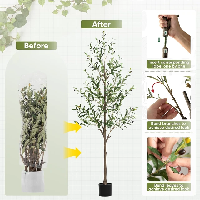 Alt view image 3 of 7 - Olive Tree Artificial Indoor, 6 FT Faux Olive Trees with Planter, Fake Tall Plants with Natural Trunk and Lifelike Fruits for Home Office Decor(1, 6FT)