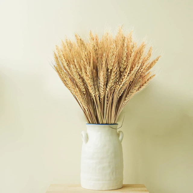 Alt view image 3 of 7 - 600 Stems Natural Dried Wheat Stalks, 18 inches Dried Wheat Grass Bundle Wheat Sheaves Wreath for Flowers Arrangement Wedding Table Centerpieces Home Kitchen Office DIY Party Décor