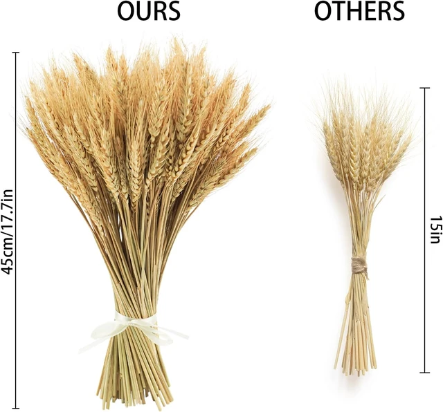 Alt view image 5 of 7 - 600 Stems Natural Dried Wheat Stalks, 18 inches Dried Wheat Grass Bundle Wheat Sheaves Wreath for Flowers Arrangement Wedding Table Centerpieces Home Kitchen Office DIY Party Décor