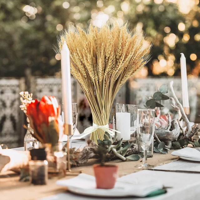 Alt view image 7 of 7 - 600 Stems Natural Dried Wheat Stalks, 18 inches Dried Wheat Grass Bundle Wheat Sheaves Wreath for Flowers Arrangement Wedding Table Centerpieces Home Kitchen Office DIY Party Décor