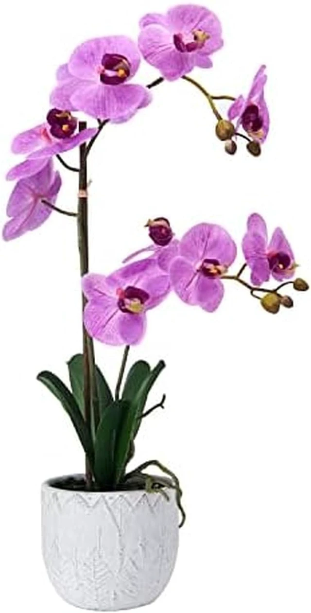 Main image of Artificial Orchid Arrangement, 22 Inch Faux Orchid in Cement Pot, Lifelike Fake Orchid Plant for Home Decor, Low-Maintenance Plastic Orchid Bouquet for Living Room, Bedroom, or Office