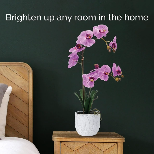 Alt view image 5 of 7 - Artificial Orchid Arrangement, 22 Inch Faux Orchid in Cement Pot, Lifelike Fake Orchid Plant for Home Decor, Low-Maintenance Plastic Orchid Bouquet for Living Room, Bedroom, or Office
