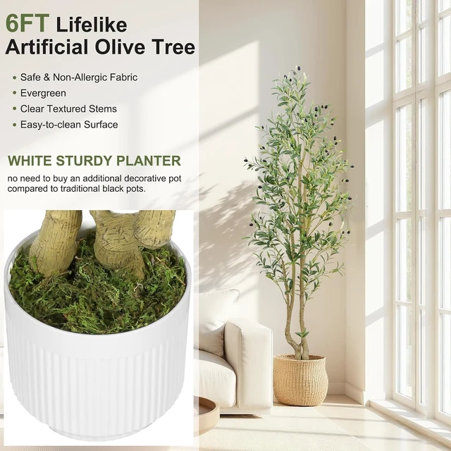 Alt view image 3 of 6 - 6ft Artificial Olive Tree Indoor, Fake Olive Tree with White Pot, Faux Olive Tree with Dense Leaves & Realistic Fruits, Tall Artificial Plant for Home Living Room Office Entryway Decor