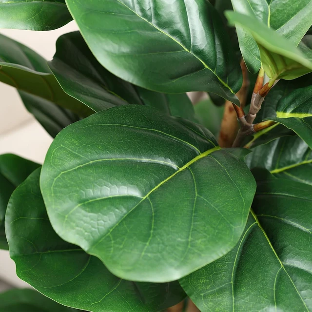 Alt view image 4 of 7 - Artificial Fiddle Leaf Fig Tree with White Planter,5ft Tall Fake Tree with Natural Wood Trunk for Home Decor, Faux Ficus Tree Fake Moss for Indoor Office Living Room