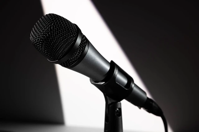 Alt view image 2 of 7 - Professional E 835 Dynamic Cardioid Vocal Microphone