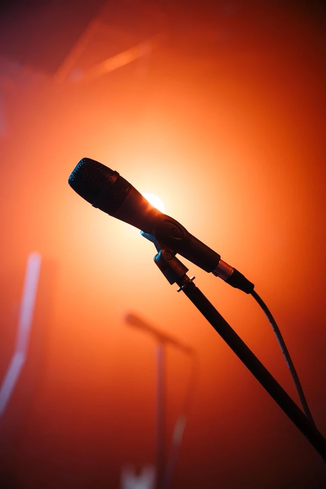 Alt view image 6 of 7 - Professional E 835 Dynamic Cardioid Vocal Microphone