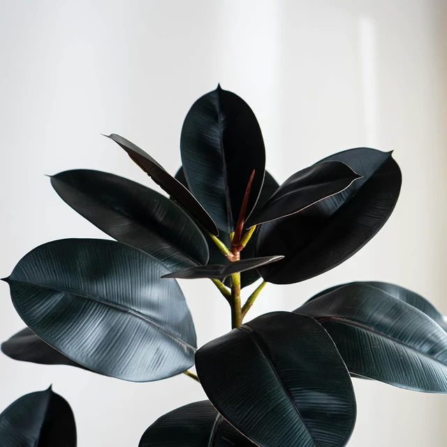 Alt view image 3 of 7 - 5.2ft Artificial Rubber Tree Faux Plants Indoor Faux Floor Artificial Trees Indoor,Fake Plant Fake Tropical Plants,Large Floor,Real Touch Rubber Tree for Home Decor
