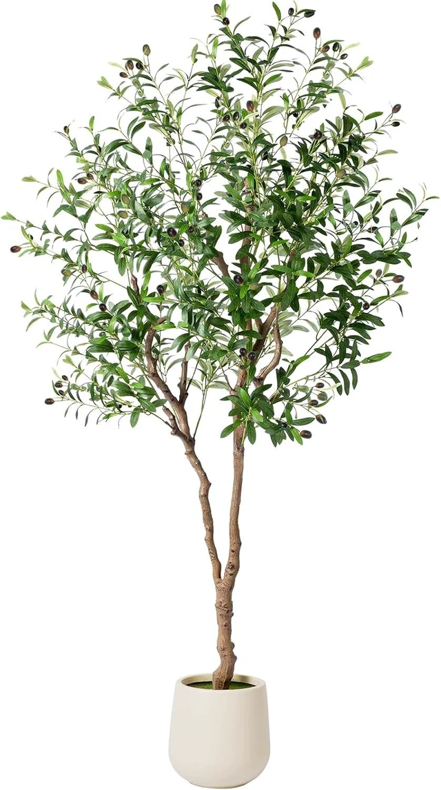 Main image of 6FT Faux Olive Tree with Decorative Planter, Olive Trees Artificial Indoor with Textured Trunk, Silk Leaves and Olive Fruits, Fake Plants for Living Room, Entryway and Office Decor