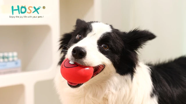 Alt view image 7 of 7 - 4 Pack 2.8" Smiley Face Squeaky Dog Toys Soft Dog Balls Latex Rubber Squeak Dog Toys for Small Medium Puppy Pet Dogs (Flat Ball)