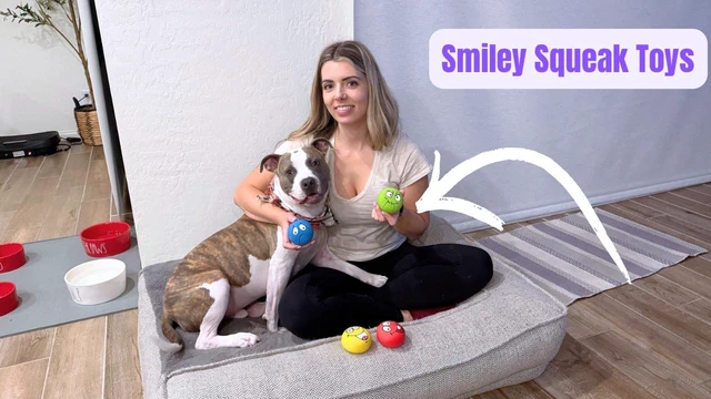Alt view image 5 of 7 - 4 Pack 2.8" Smiley Face Squeaky Dog Toys Soft Dog Balls Latex Rubber Squeak Dog Toys for Small Medium Puppy Pet Dogs (Flat Ball)