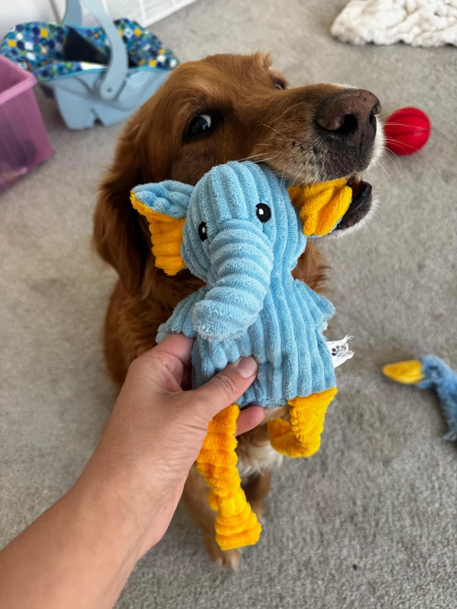 Alt view image 6 of 7 - 5 Pack Tough Dog Toys Stuffed Squeaky Dog Toys Assortment Plush Animal Dog Toy Value Bundle Puppy Pet Dog Toys for Small Medium Large Dogs