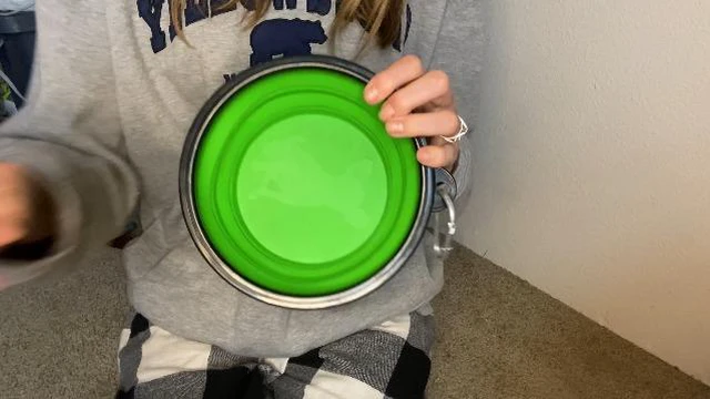 Alt view image 7 of 7 - Large Collapsible Dog Bowls, 34oz Portable Foldable Travel Water Bowl Food Dishes with Carabiner Clip for Traveling, Hiking, Walking, 2 Pack (Purple+Green)