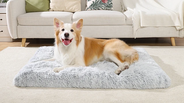 Alt view image 5 of 6 - Large Dog Bed Crate Pad 35", Washable Soft Plush Pet Mats for Sleeping Grey