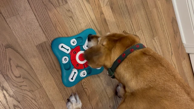 Alt view image 4 of 7 - Dog Puzzle Toys, Treat Dispensing Dog Enrichment Toys for IQ Training and Brain Stimulation, Interactive Mentally Stimulating Toys as Gifts for Puppies, Cats, Dogs