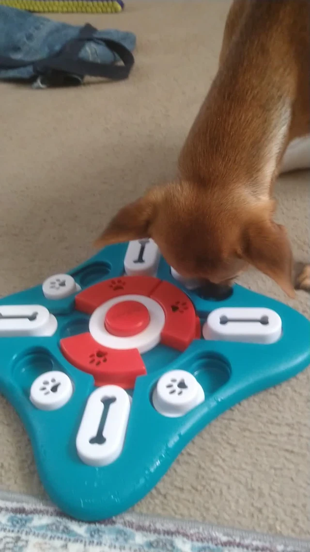 Alt view image 7 of 7 - Dog Puzzle Toys, Treat Dispensing Dog Enrichment Toys for IQ Training and Brain Stimulation, Interactive Mentally Stimulating Toys as Gifts for Puppies, Cats, Dogs