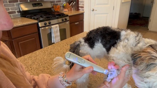 Alt view image 4 of 6 - Dog Paw Trimmer with LED Light & Skin-Friendly Curved Blade