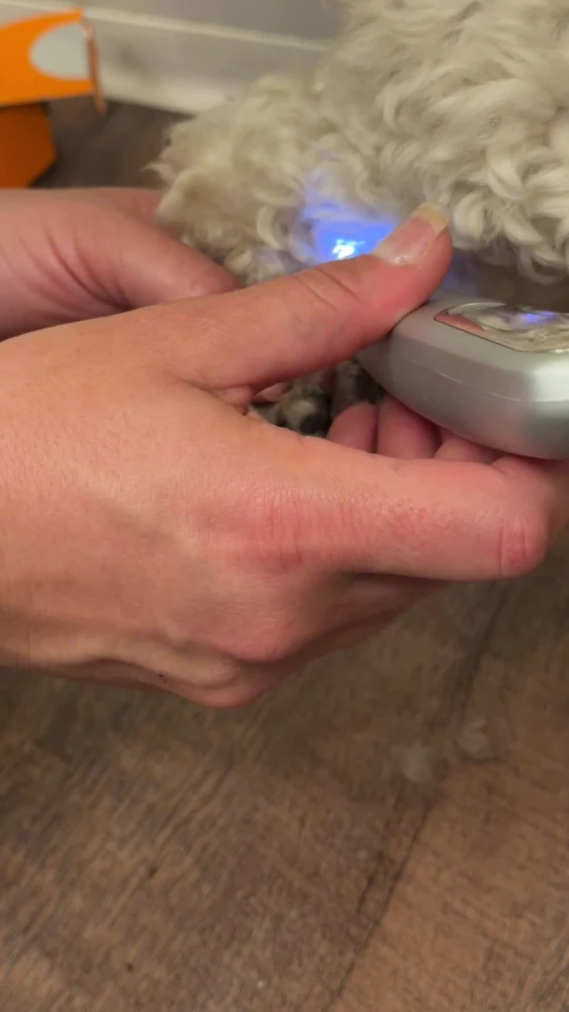 Alt view image 3 of 6 - Dog Paw Trimmer with LED Light & Skin-Friendly Curved Blade