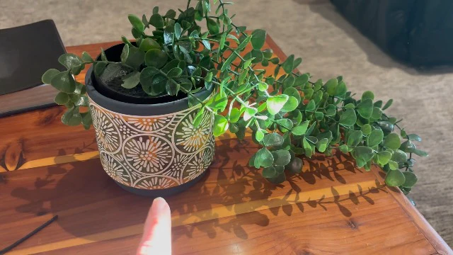 Alt view image 5 of 5 - 3 Piece Ceramic Plant pots Indoor Pots Set with Drainage Holes, 5.7/4.7/3.5/inch, Modern Decorative pots Outdoor Plants Lilies, Cacti, Succulents, Snakes, and Bamboo (Blue)