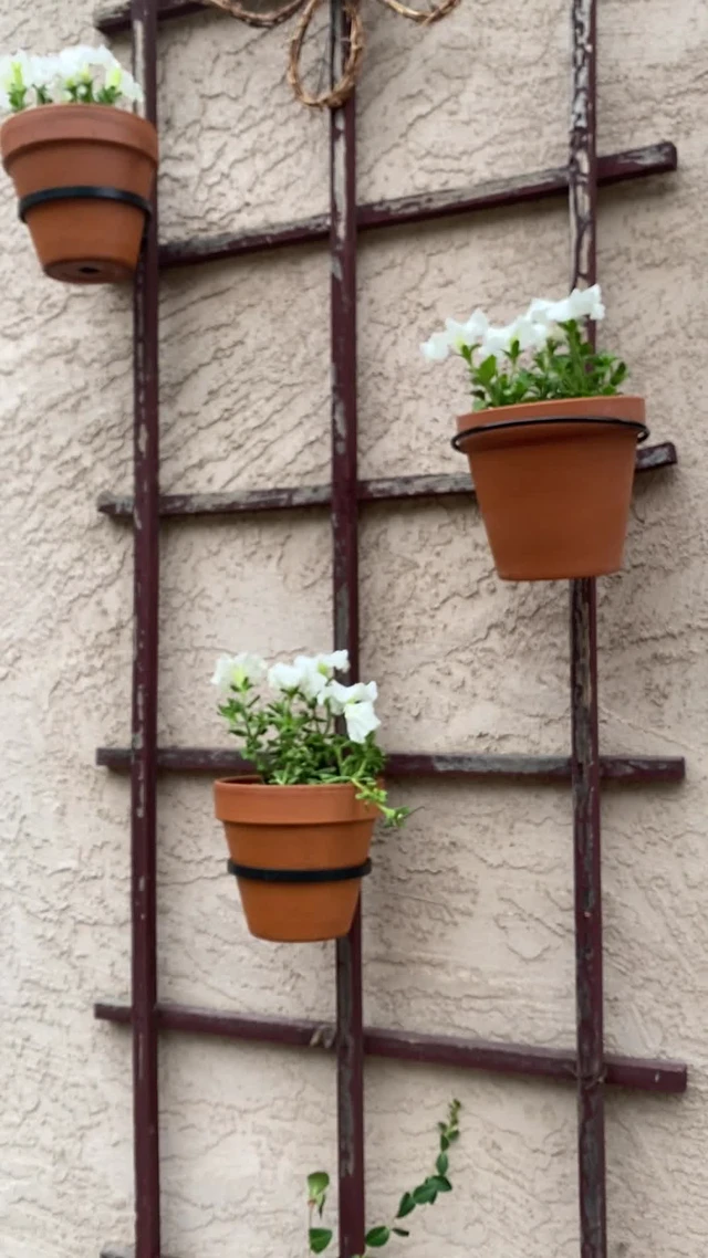 Alt view image 5 of 5 - 6 inch Terracotta & Clay Pots for Plants with Saucer, Medium Terra Cotta Plant Pots with Drainage Hole, Flowerpot with Tray, Terracotta Pot for Indoor Outdoor Plant - Pack of 4 Planters