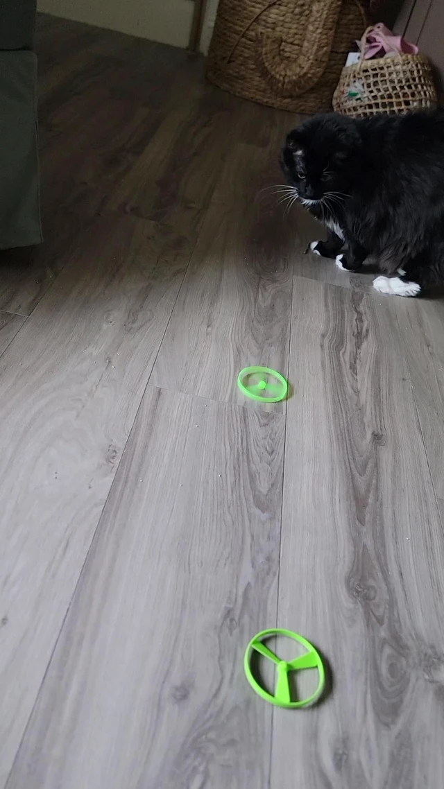 Alt view image 3 of 3 - Wortade Cat Fetch Toy Launcher,Interactive Flying Disc Launcher Toy, Yellow