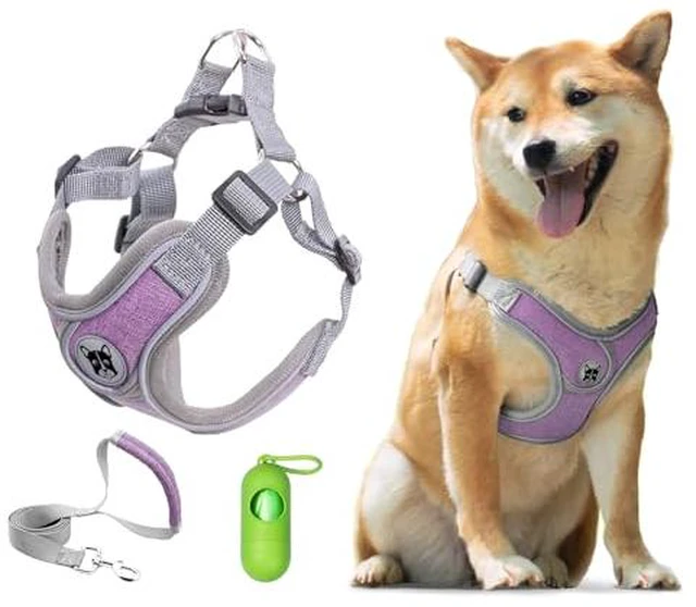 Alt view image 2 of 2 - Dog Harness with Leash Set for Small Dogs, No Pull No Choke Reflective Step in X Head Pet Harness Vest with Poop Bags and Dispenser, Adjustable and Padded, Blue Extra Small