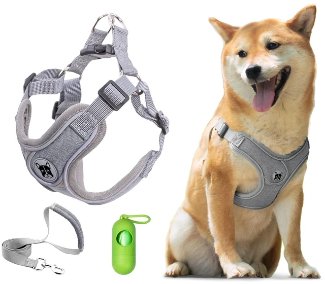 Main image of Dog Harness with Leash Set for Small Dogs, No Pull No Choke Reflective Step in X Head Pet Harness Vest with Poop Bags and Dispenser, Adjustable and Padded, Blue Extra Small