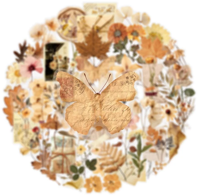 Main image of 50 Pcs Dried Flower Stickers Aesthetic Autumn PET Transparent Stickers Vintage Plant Decals for Scrapbooking Waterproof Transparent for Resin Crafts Decorative (Dried)