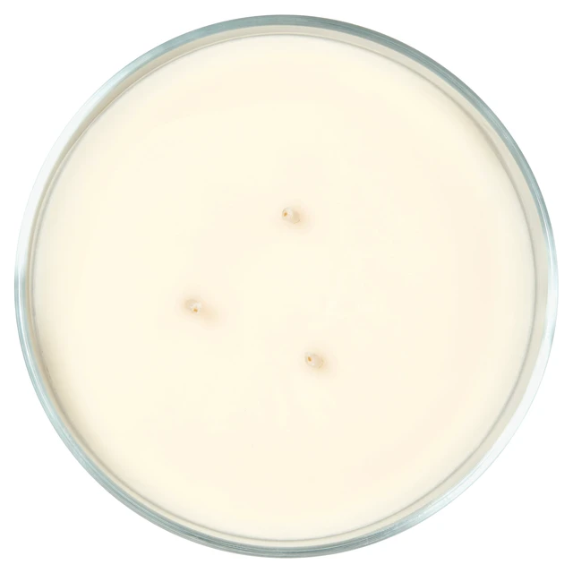Alt view image 5 of 7 - Mainstays 3-Wick Ombre Wrapped Country Holiday Scented Jar Candle, 14 oz