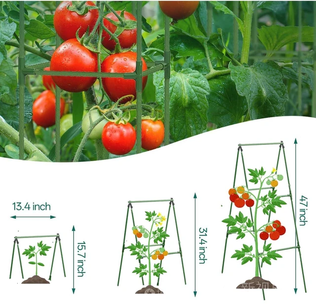 Alt view image 4 of 6 - Cucumber Trellis Garden Trellis Arch Trellis, Tall Trellis for Climbing Plants Support Vegetable Peas Fruit Vine Outdoor A-Frame Trellis Suit for Small Plant not Heavy