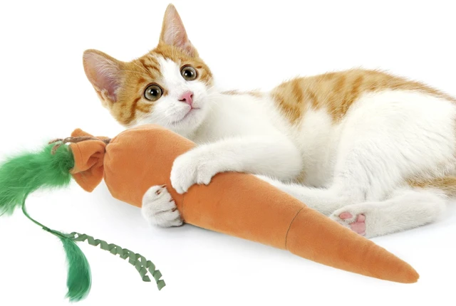 Main image of SmartyKat Kolossal Karrot Soft Plush Catnip Kicker Cat Toy Filled with Pure & Potent Catnip