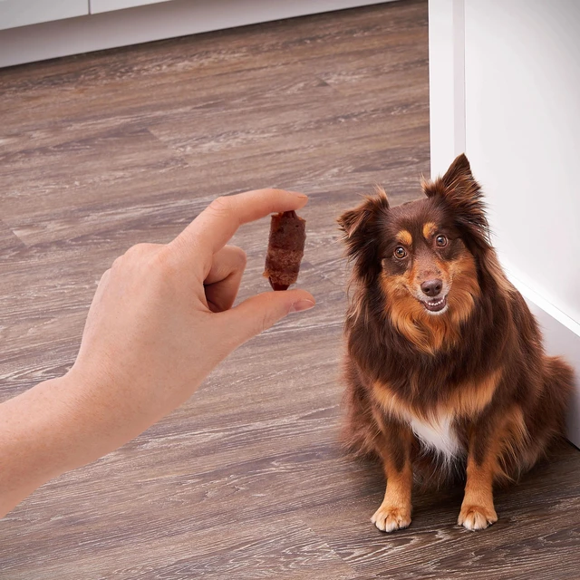 Alt view image 2 of 6 - GR Pigs in a Blanket Chicken and Pork Sausage Dog Treats, 16 oz