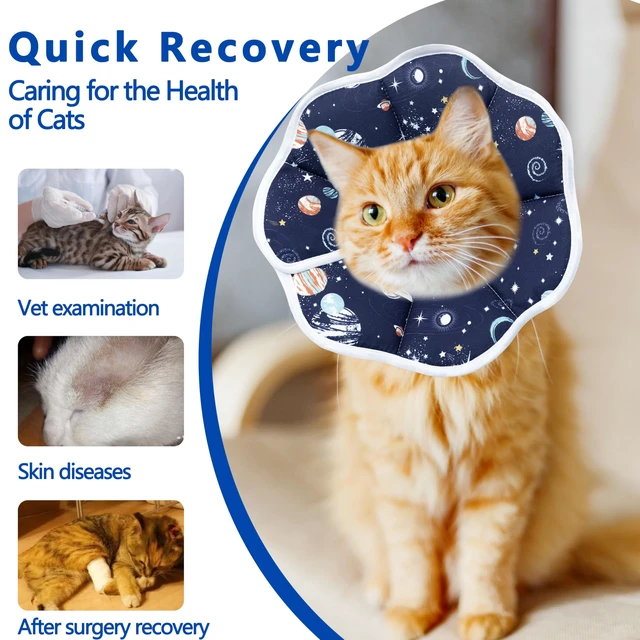 Alt view image 5 of 6 - Soft Adjustable Cat Cone Collar, Comfortable Cat Recovery Collar