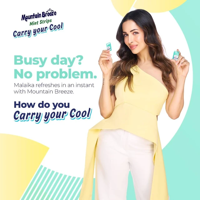 Alt view image 2 of 7 - Mountain Breeze Oral Hygiene Mouth Freshener Sugar Free Spearmint Flavoured Breath Strips(24 Strips Each Cassatte)-Pack Of 1(3 Cassette), 50 Grams Breath Freshener Strips