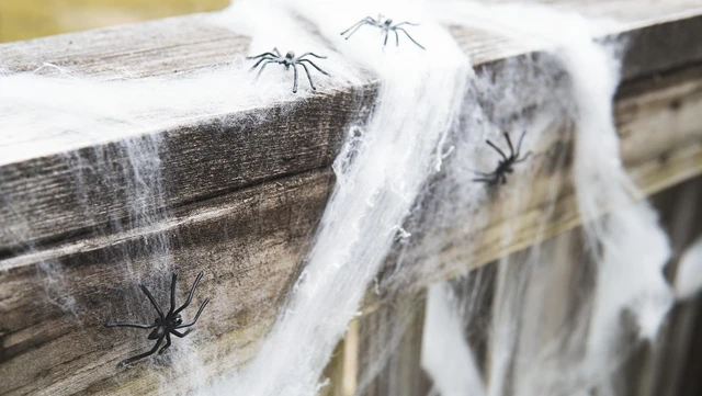 Alt view image 4 of 6 - Halloween Spider Web Decoration, 800 Sqare Feet & Plastic Spiders, Halloween Party Supplies, Spider Webs (Large, 800 Sq Feet)