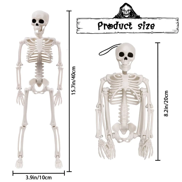 Alt view image 3 of 6 - XIMISHOP 5pcs Halloween Skeleton Decoration, 16Full Body Posable Skeleton