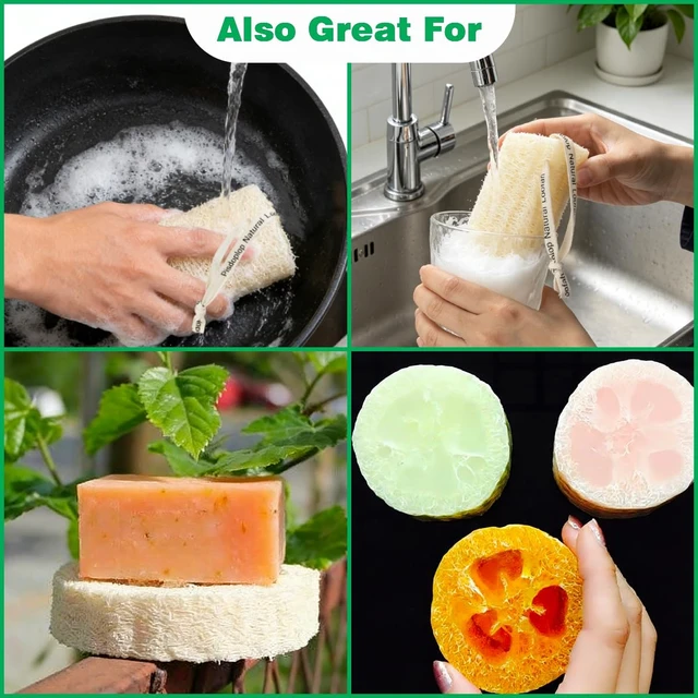 Alt view image 6 of 7 - Natural Loofah Sponge, Organic Luffa Body Scrubber Bath Exfoliating, 4 inch