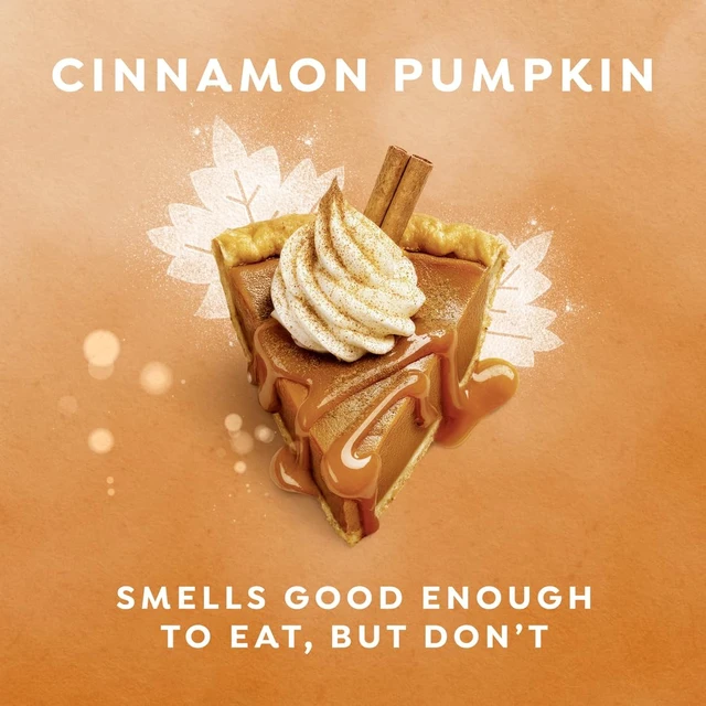 Alt view image 6 of 6 - Dove Limited Edition Holiday Treats Body Wash Cinnamon Pumpkin Pie 20 oz