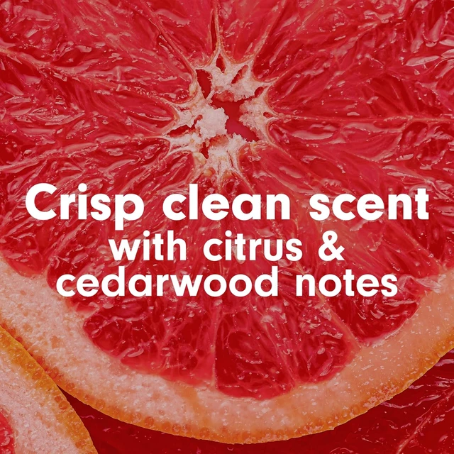 Alt view image 2 of 6 - Softsoap Antibacterial Liquid Hand Soap Pump, Crisp Clean - 11.25 fluid ounce