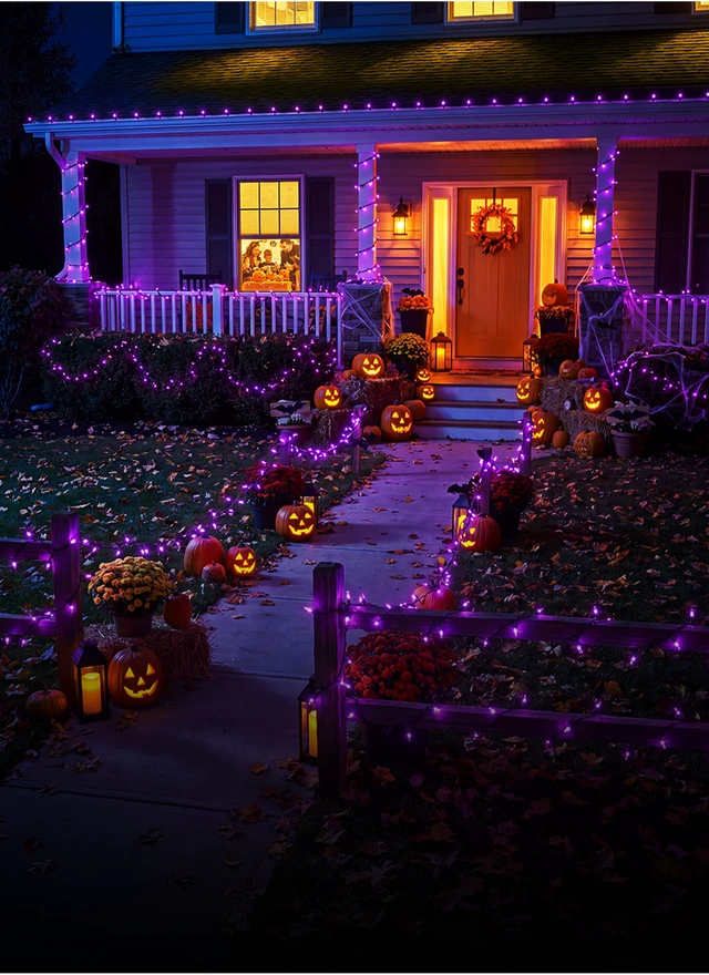 Alt view image 3 of 7 - 2 Pack Purple Halloween Mini Lights, 10 Feet 50 Count Mini String Lights