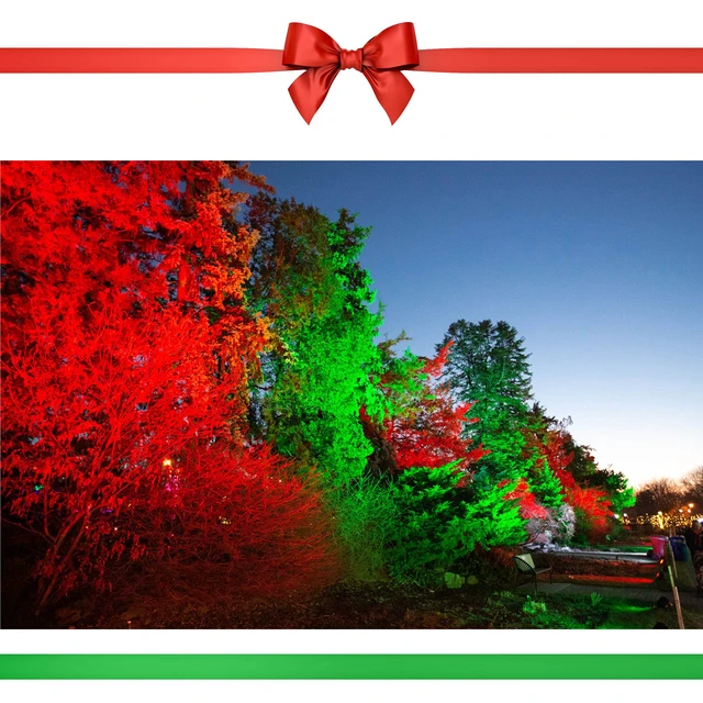 Alt view image 6 of 6 - Red Green MR16 Led Bulbs 12v Low Voltage for Landscape Christmas GU5.3 Replace 20W 35W 50W Halogen, 5W Red Green MR16 for Holiday Decoration Outdoor Landscape Lighting,38 Deg,6 Pack Mix