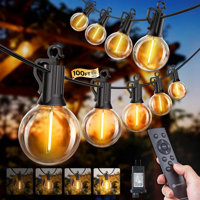 Main image of 100FT 31 Bulbs Outdoor String Lights with Remote & Dimmable IP65 Waterproof String Lights, G40 Shatterproof Connectable Patio Light for Backyard Porch Balcony Garden Christmas Camping