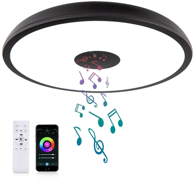Main image of Black Smart Waterproof LED Flush Mount Ceiling Light Fixture,18W,with Bluetooth Speaker,RGB Color Changing Function-Dimmable Lamp,Tuya Application Control-Compatible with Alexa Google Home