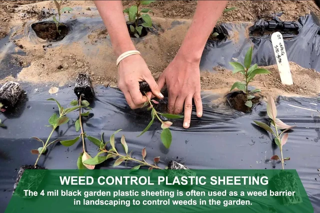 Alt view image 2 of 6 - 4 Mil Black Plastic Sheeting, 4 FTx100 FT Garden Landscape Plastic Heavy Duty, Weed Barrier, UV Resistant Polyethylene Sheeting Roll for Greenhouse Vapor Barrier Construction Ground Cover
